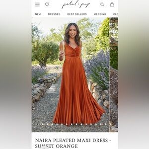 Naira Pleated Maxi Dresss